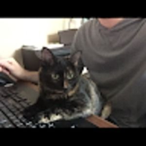 Meet your Posher, Ehmby